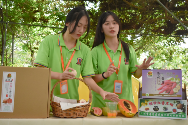 �����»�ѧ��ֱ��������Ϊ������ũ�����ഺ����