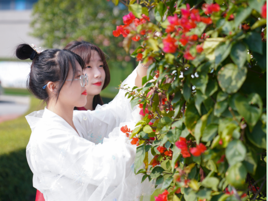 �������»��������������Щ�˺���Щ��