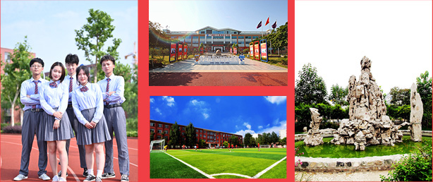 ������ʵѵ����