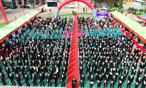 ���������������߼�����ʦ