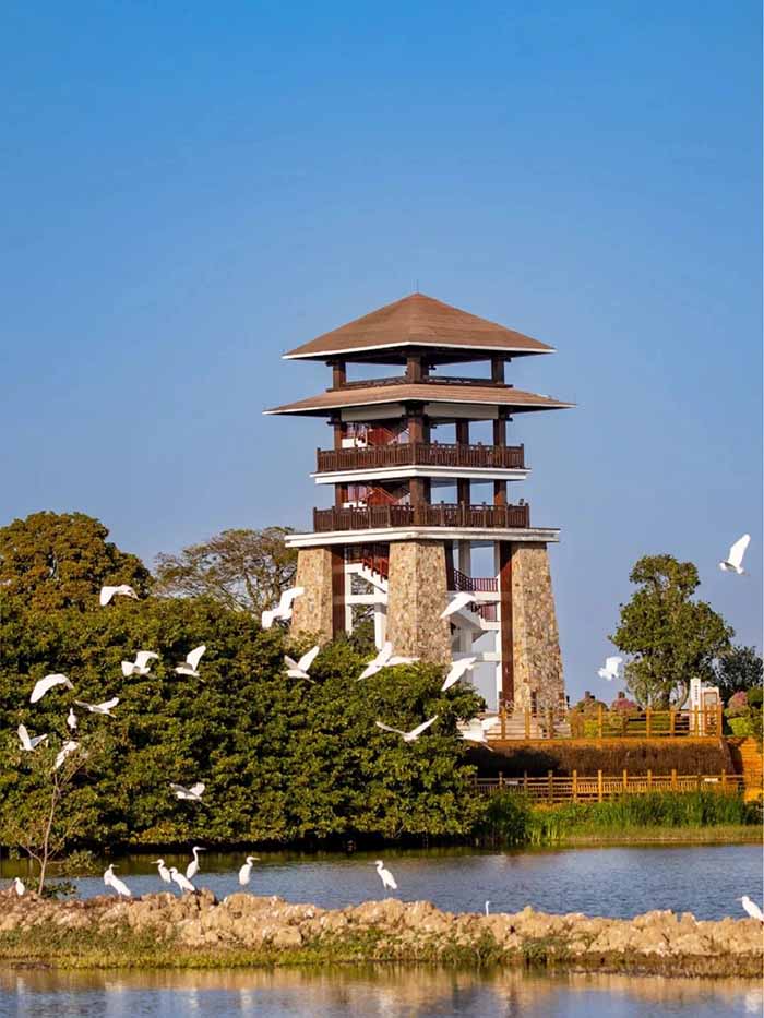 1752716367642210.jpg 33.jpg