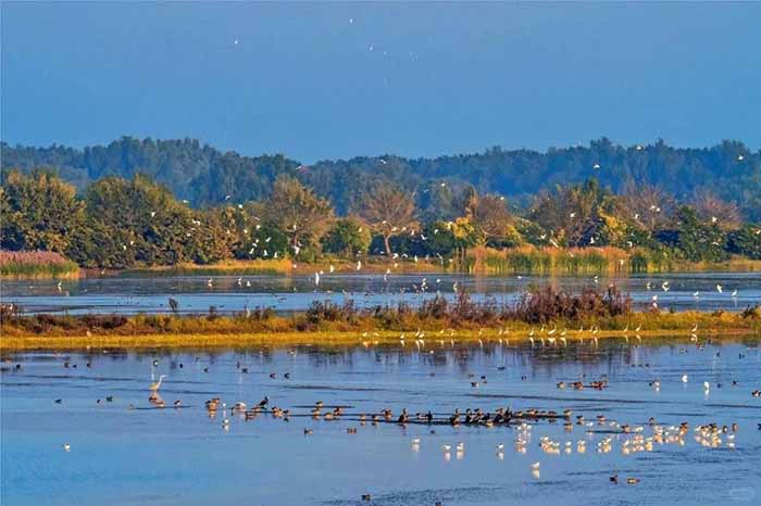 1752716376794737.jpg 333.jpg